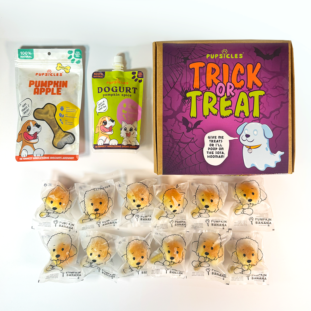 Trick or Treats Box