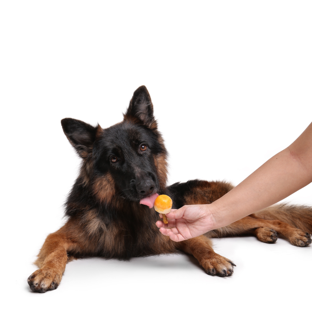 Pumpkin Banana (6pcs)