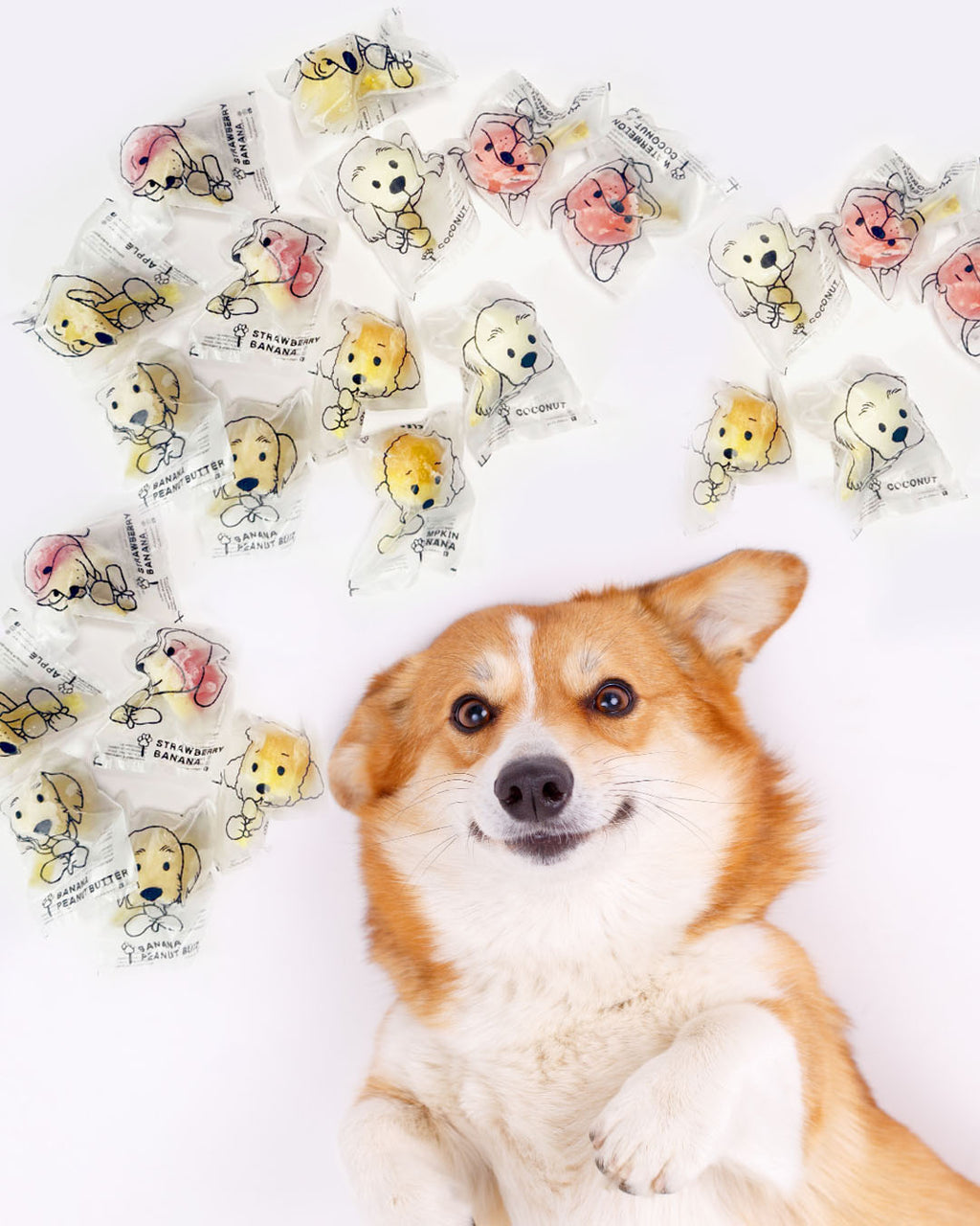 Assorted Pupsicles