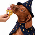 Trick or Treat Cookies