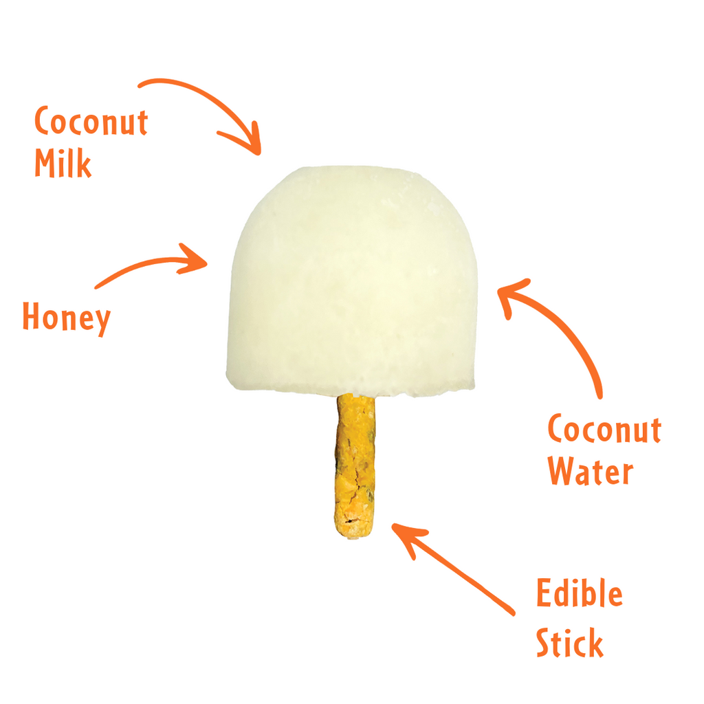 Coconut (6pcs)