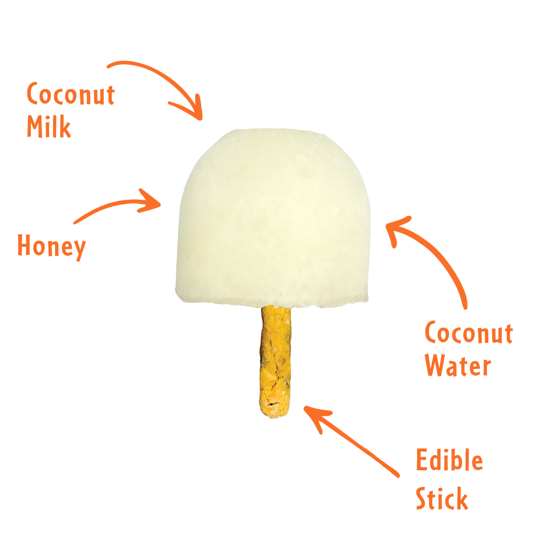 Coconut (6pcs)
