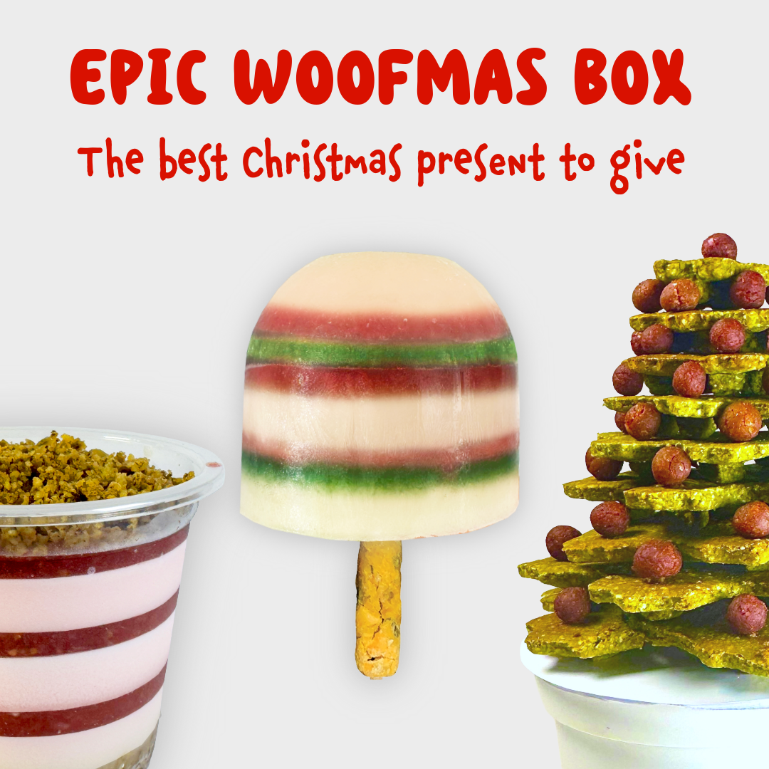 Epic Woofmas Box